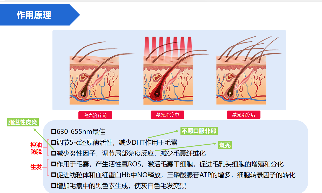 妮雀娜产品展示